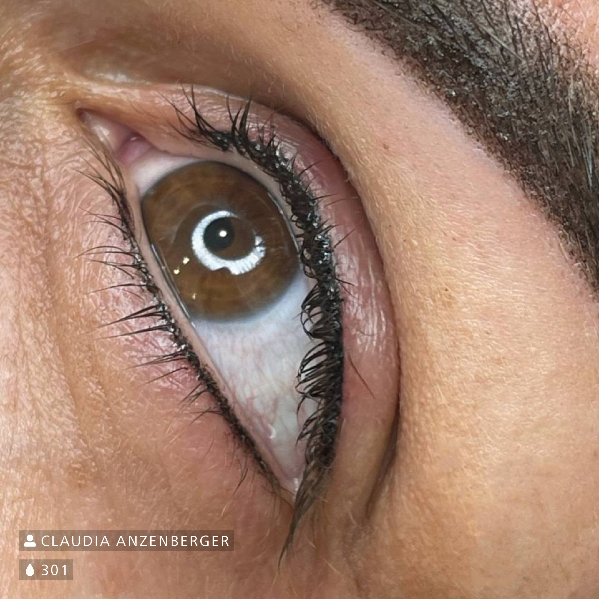 Nahaufnahme eines Auges mit pigmentiertem Lidstrich oben und unten